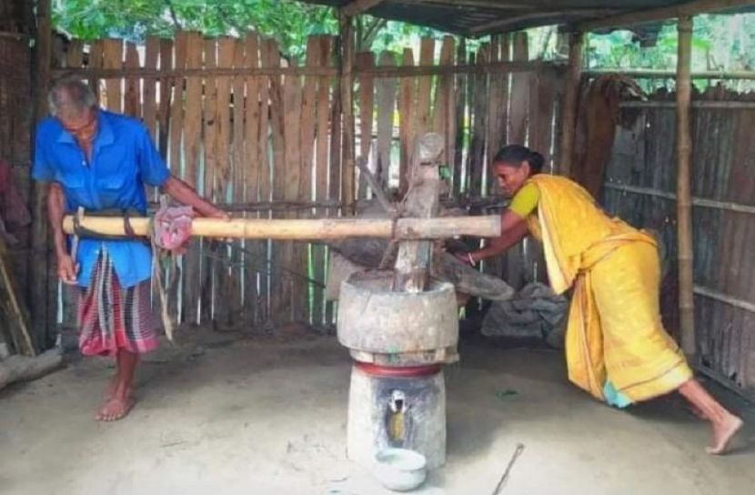 ২০ বছর ধরে ঘানি টানছেন এক দম্পতি