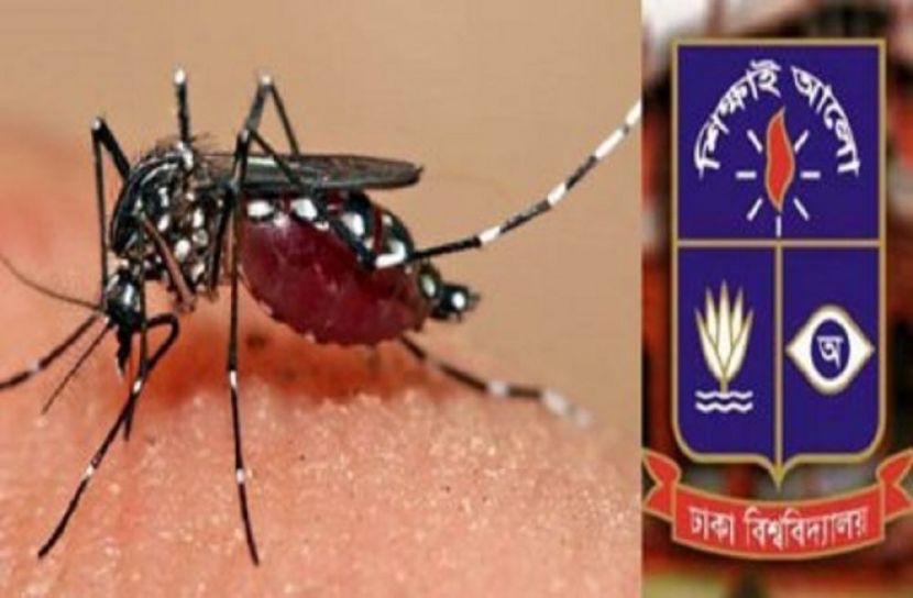 ডেঙ্গুতে মৃত্যু হলো ঢাবির শিক্ষার্থীর