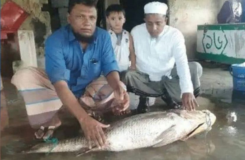 ২৭ কেজি ওজনের ‘কালো পোয়া’