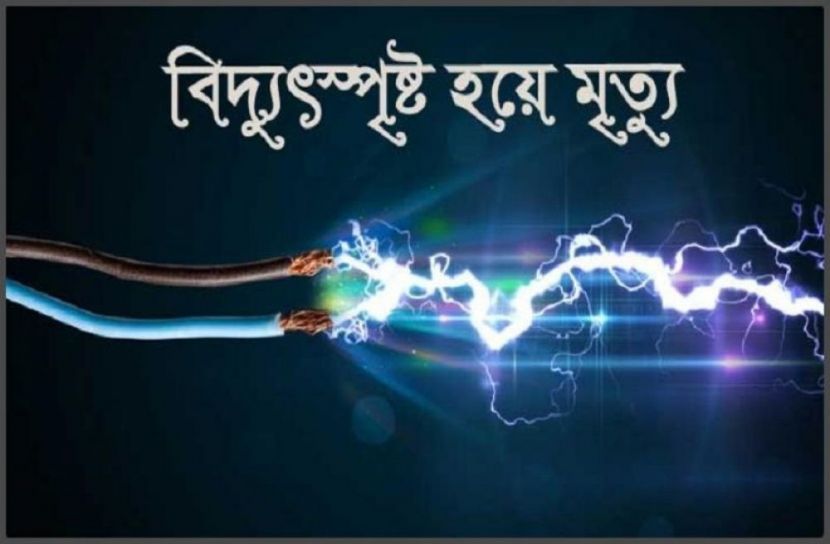 নাটোরের সিংড়ায় বিদ্যুৎস্পৃষ্টে খামারির মৃত্যু