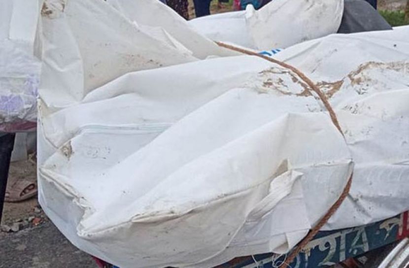 রাজবাড়ীতে সড়ক দুর্ঘটনা, নিহত ২