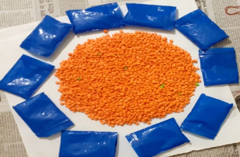 রাজধানীতে ইয়াবাসহ গ্রেফতার ২