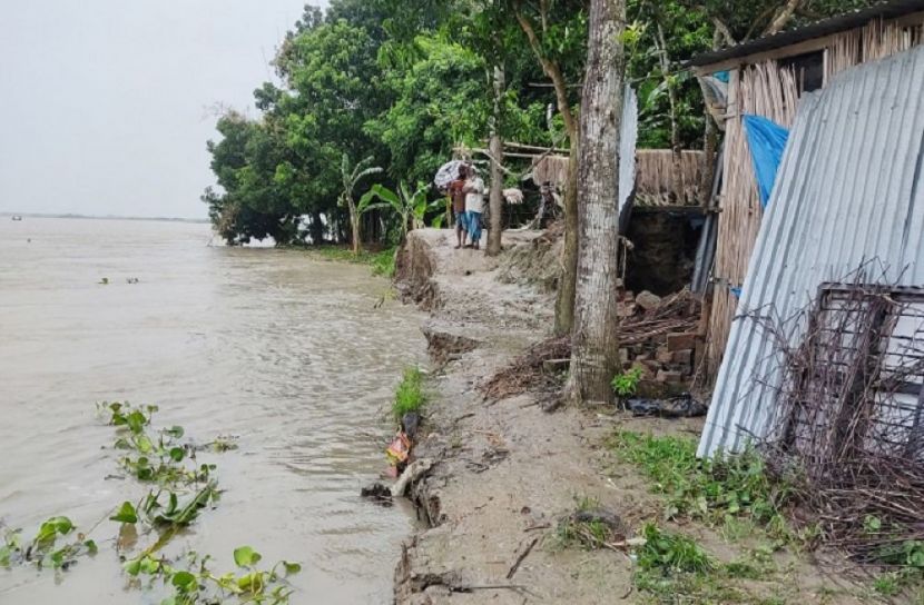 নদীর ভাঙ্গনে দিশেহারা তীরের মানুষ