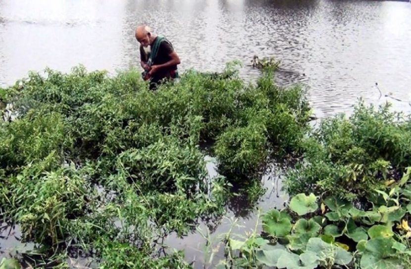 ব্রহ্মপুত্রের পানি বিপৎসীমার উপরে
