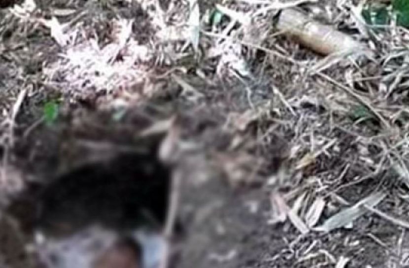 ঝোপে মিললো শিশুর বস্তাবন্দী মরদেহ