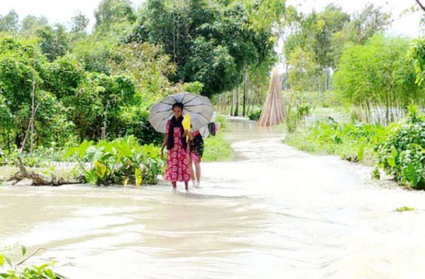 যমুনা-পদ্মার পানি বৃদ্ধি অব্যাহত