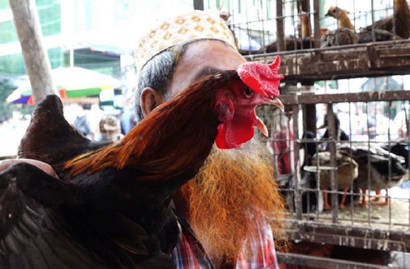 ডিম-মুরগির দাম বাড়তি