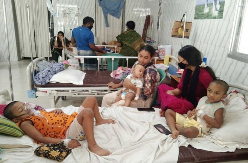 নতুন ডেঙ্গু রোগী শনাক্ত ২৫৫, মৃত্যু ১