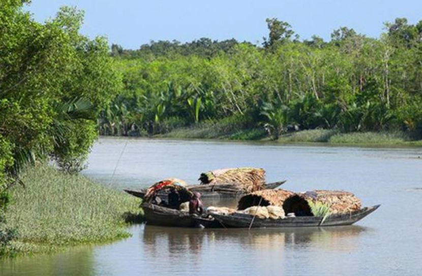 সুন্দরবনের খালে বিষ ঢেলে মাছ শিকার, গ্রেফতার ৩