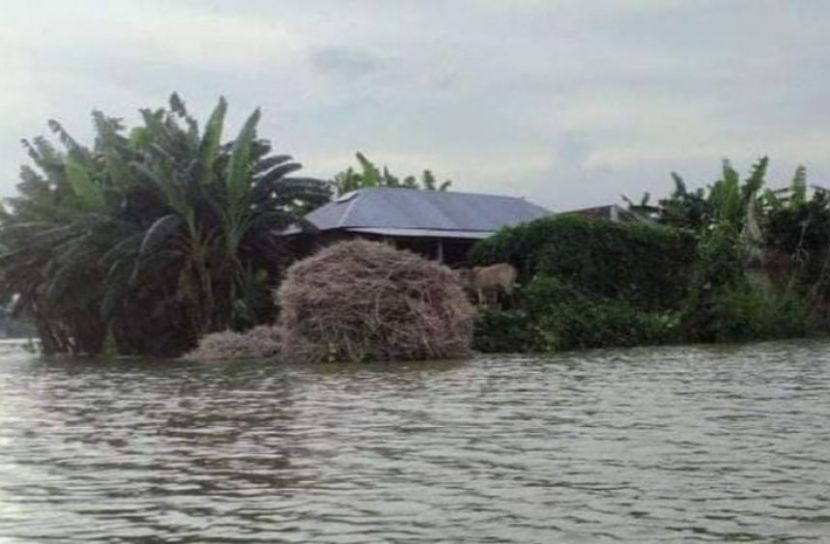 সিরাজগঞ্জে কমেছে যমুনার পানি