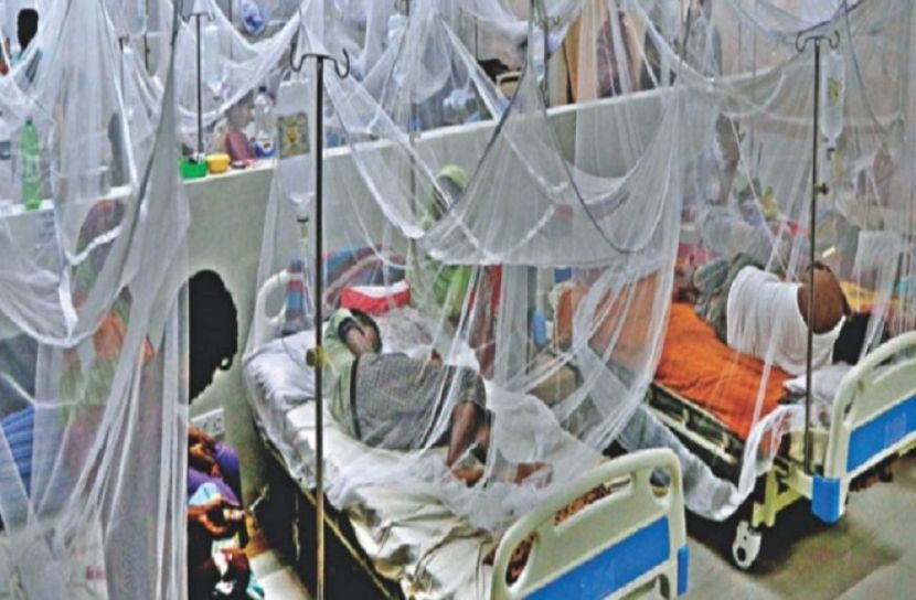 ডেঙ্গুতে আক্রান্ত আরও ৩১৭ জন 