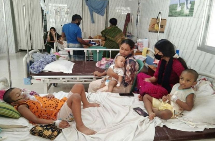 নতুন ডেঙ্গু রোগী শনাক্ত ২৪৮