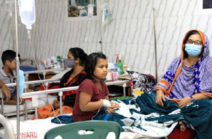নতুন ডেঙ্গু রোগী শনাক্ত ৩০১