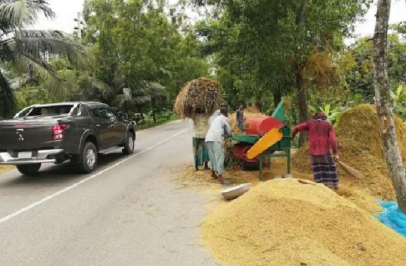 পটুয়াখালীতে সড়ক দখল করে ধান মাড়াই