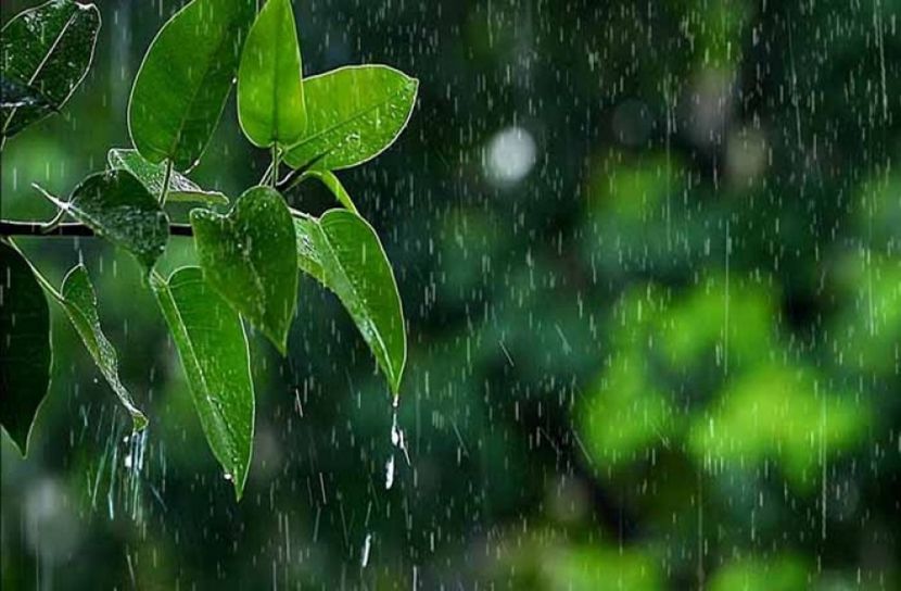 বৃষ্টি