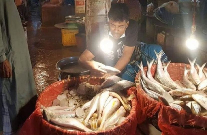 নদীতে না থাকলেও বাজার দখল পদ্মার ইলিশে