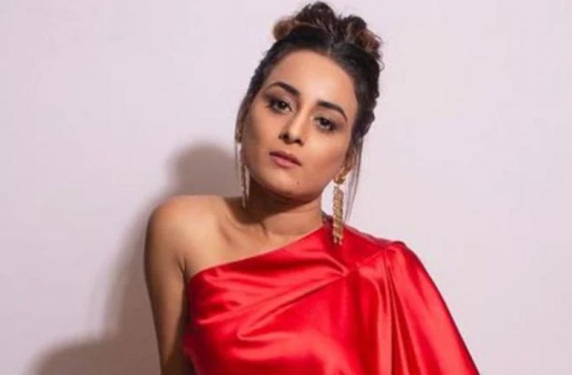 কুপ্রস্তাব পেয়েছিলেন স্নেহা