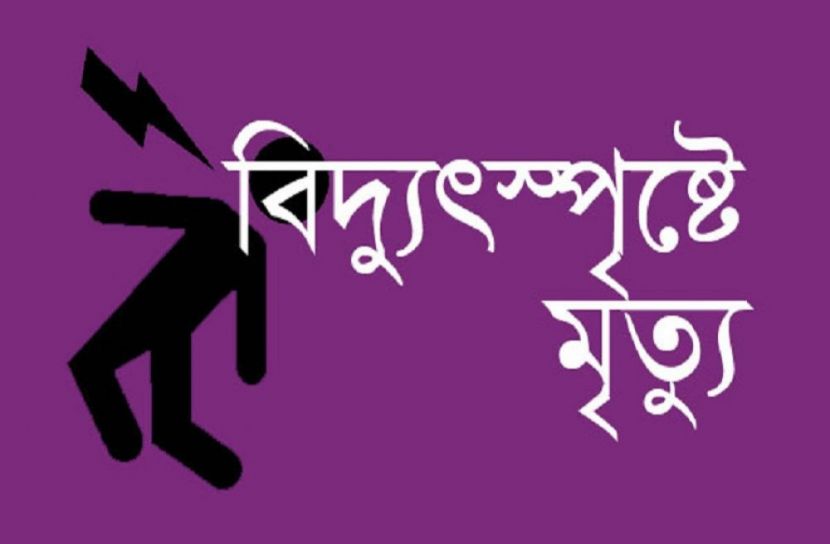 ফুলপুরে বিদ্যুৎস্পৃষ্টে কৃষকের মৃত্যু