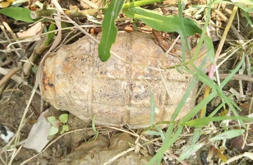 ছবি সংগৃহীত