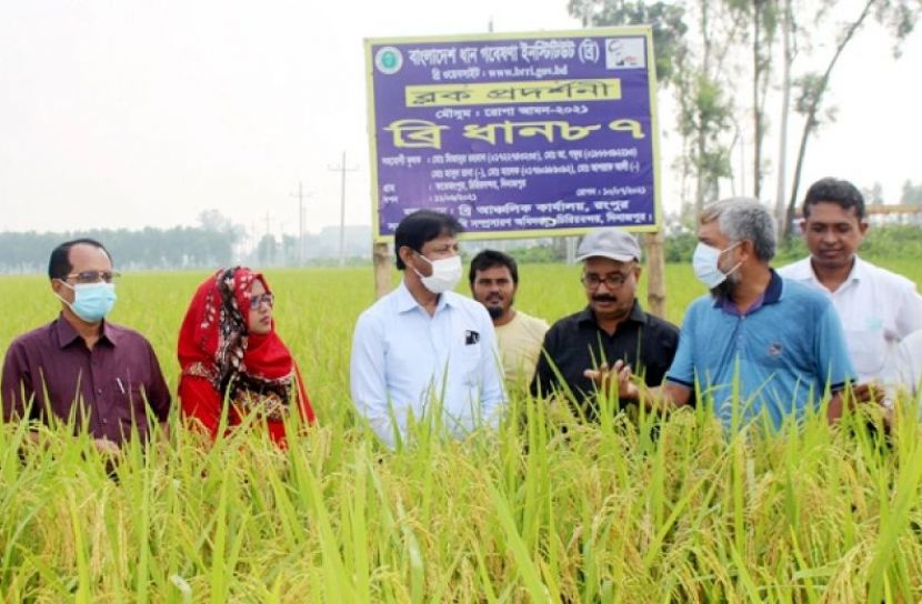 ছবি সংগৃহীত
