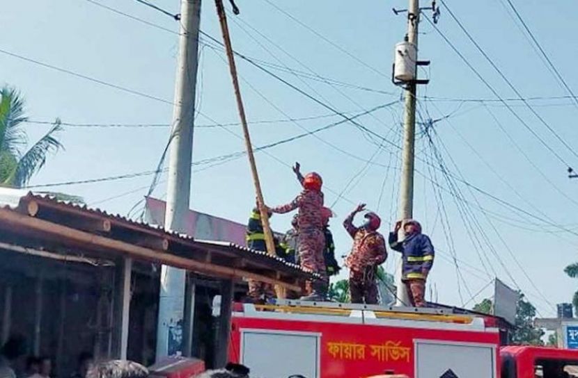 ছবি সংগৃহীত