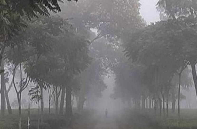 শ্রীমঙ্গল