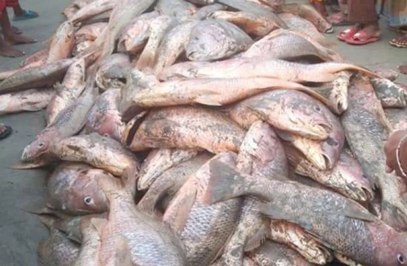 ছবি সংগৃহীত