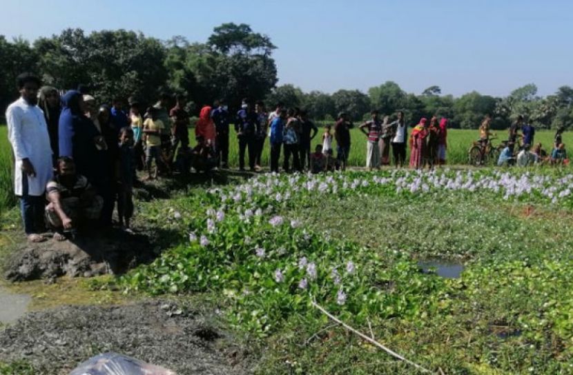 ছবি সংগৃহীত