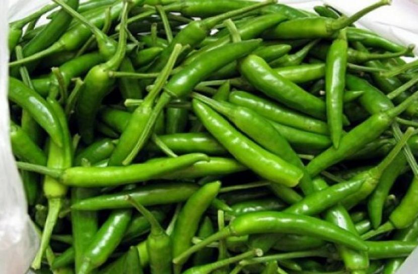 ছবি সংগৃহীত