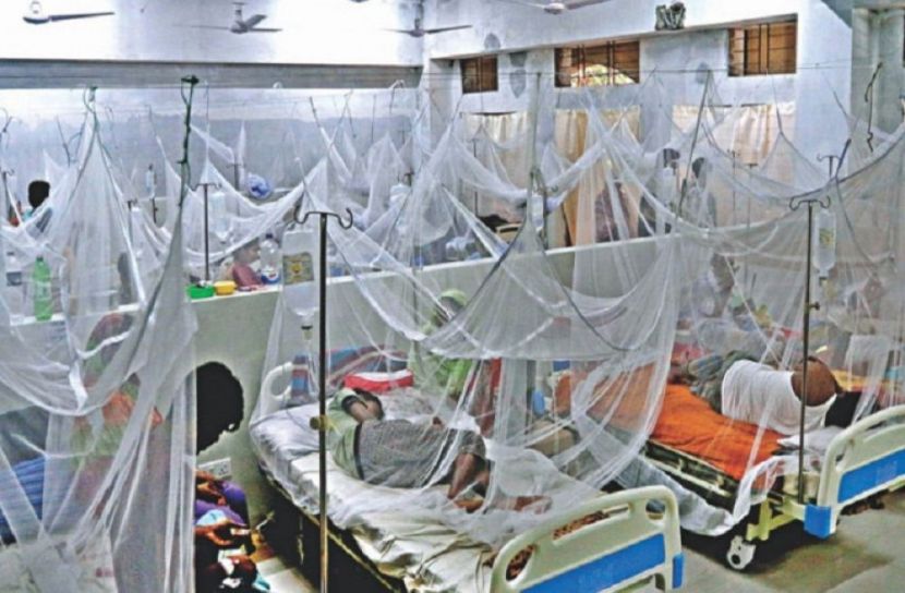 ডেঙ্গু আক্রান্ত হয়ে হাসপাতালে ভর্তি