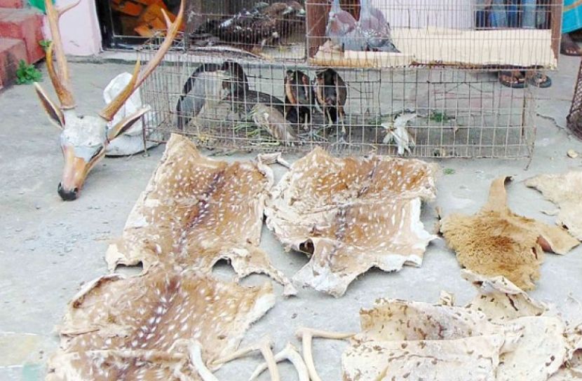ছবি সংগৃহীত