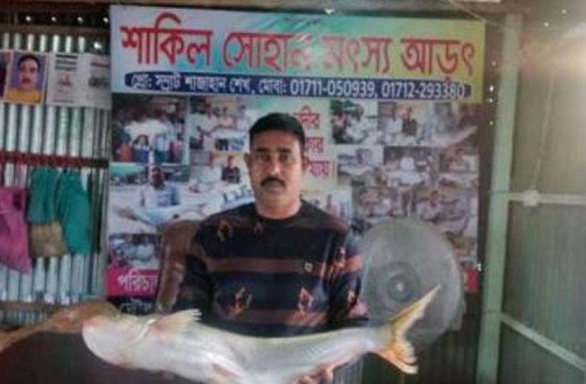 ছবি সংগৃহীত