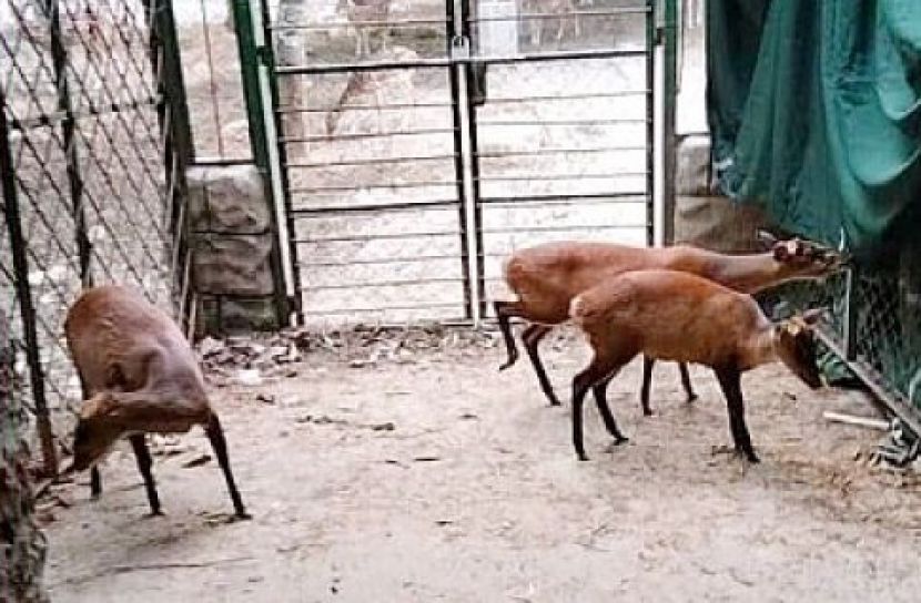 ছবি সংগৃহীত