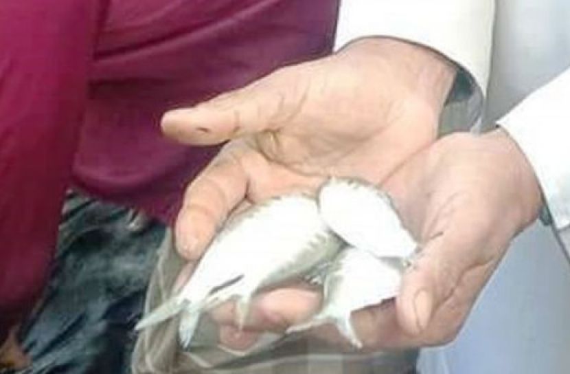 ছবি সংগৃহীত