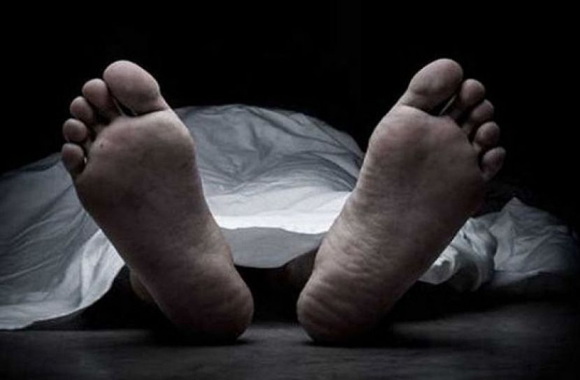 ছবি সংগৃহীত