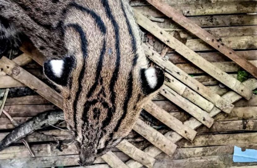 ছবি সংগৃহীত