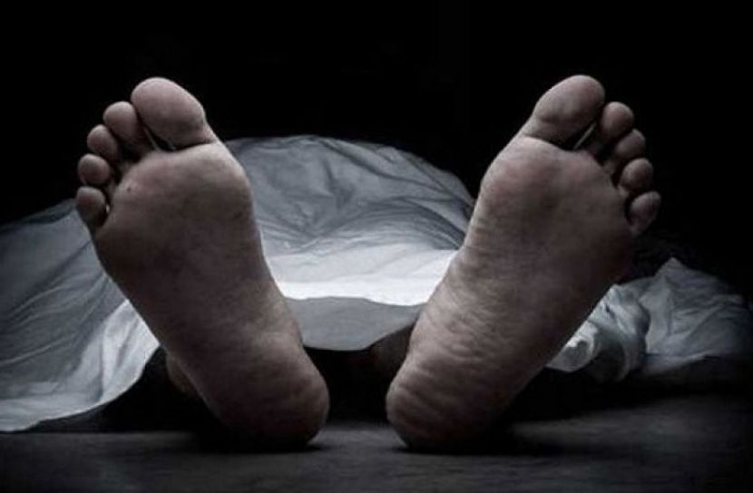 ছবি সংগৃহীত