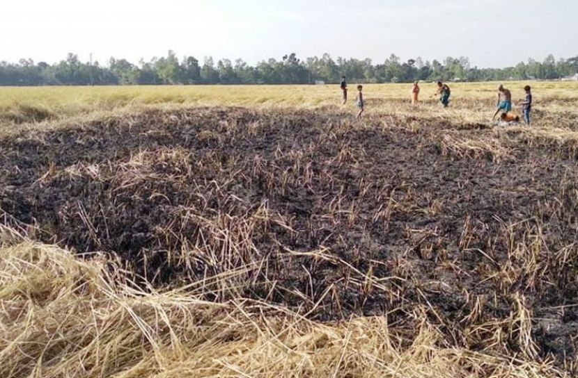 ছবি সংগৃহীত