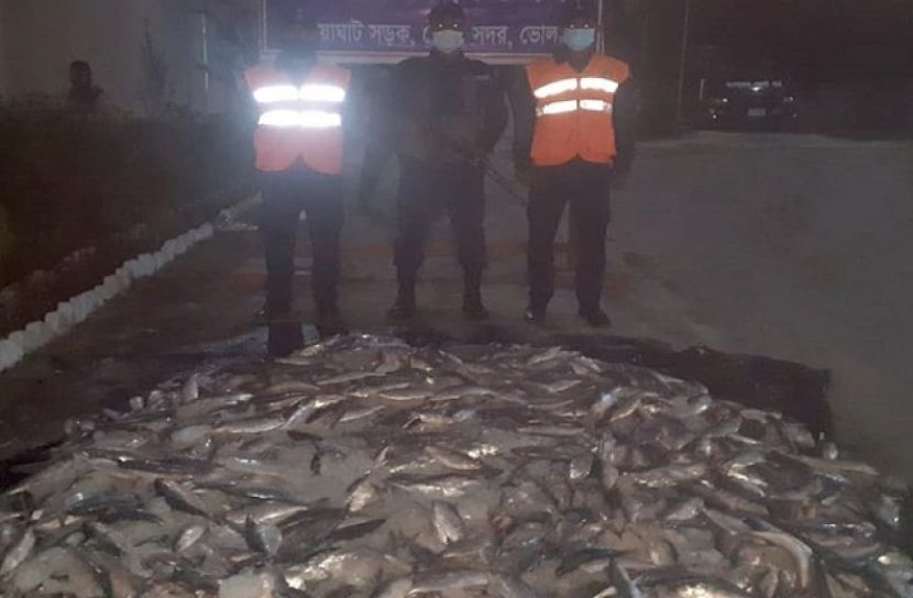 ছবি সংগৃহীত