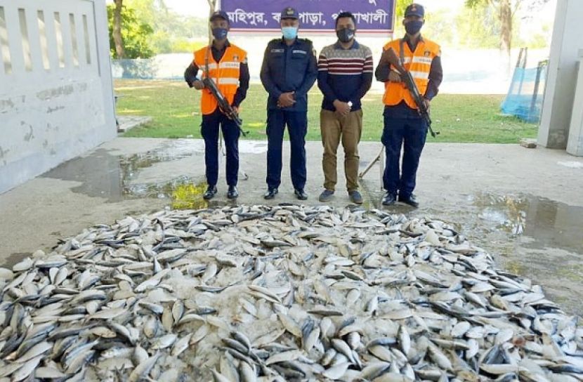 ছবি সংগৃহীত