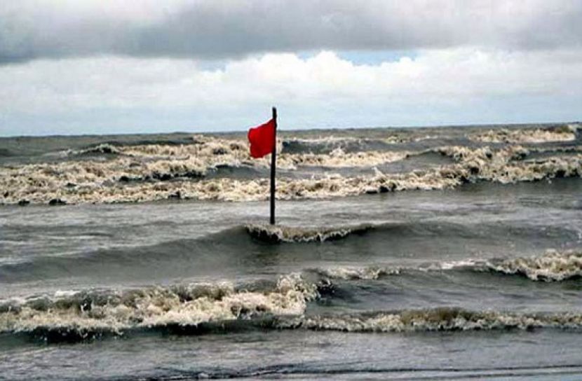 ছবি সংগৃহীত