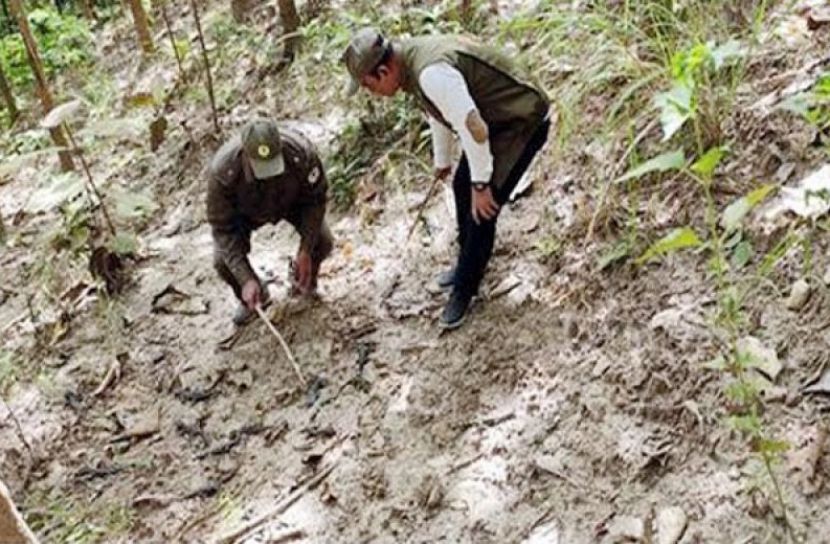 ছবি সংগৃহীত