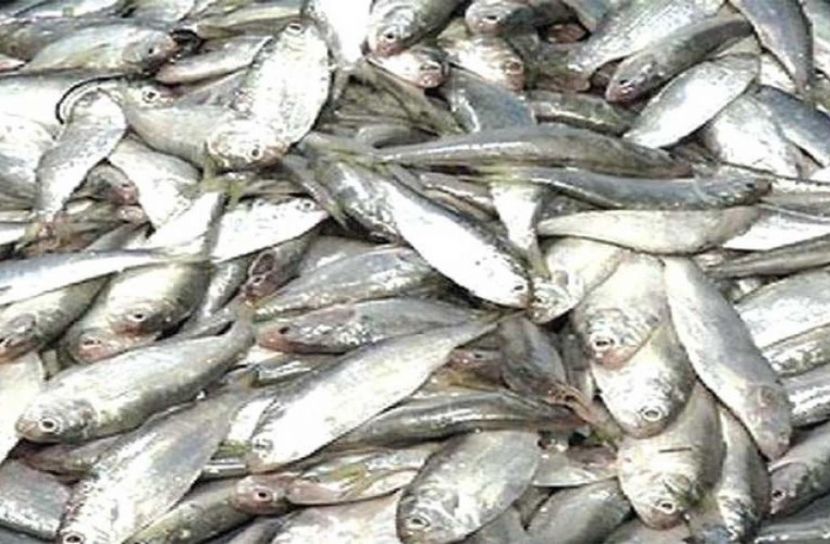 ছবি সংগৃহীত