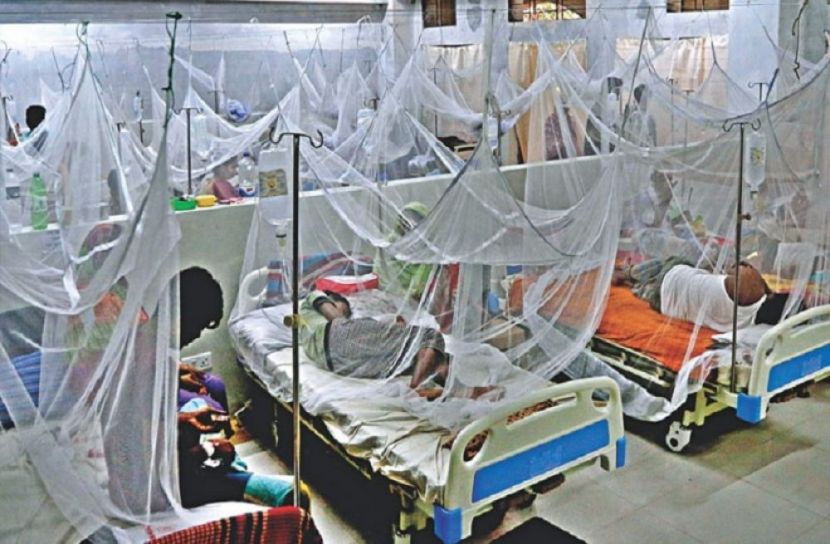 নতুন ডেঙ্গু রোগী শনাক্ত ৫৬