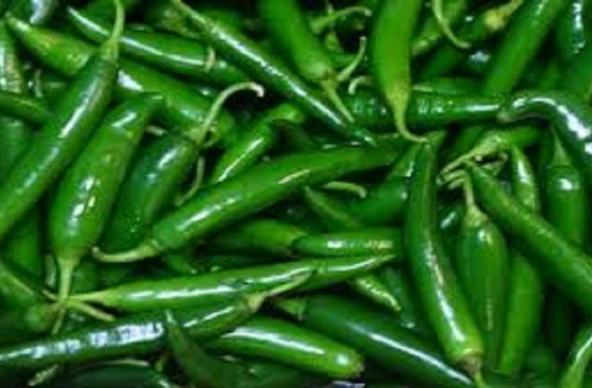 ছবি সংগৃহীত