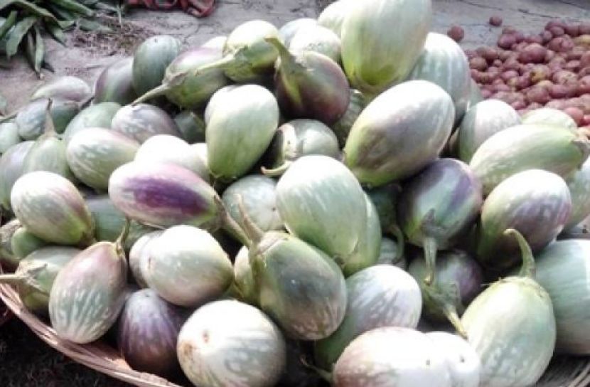 ছবি সংগৃহীত