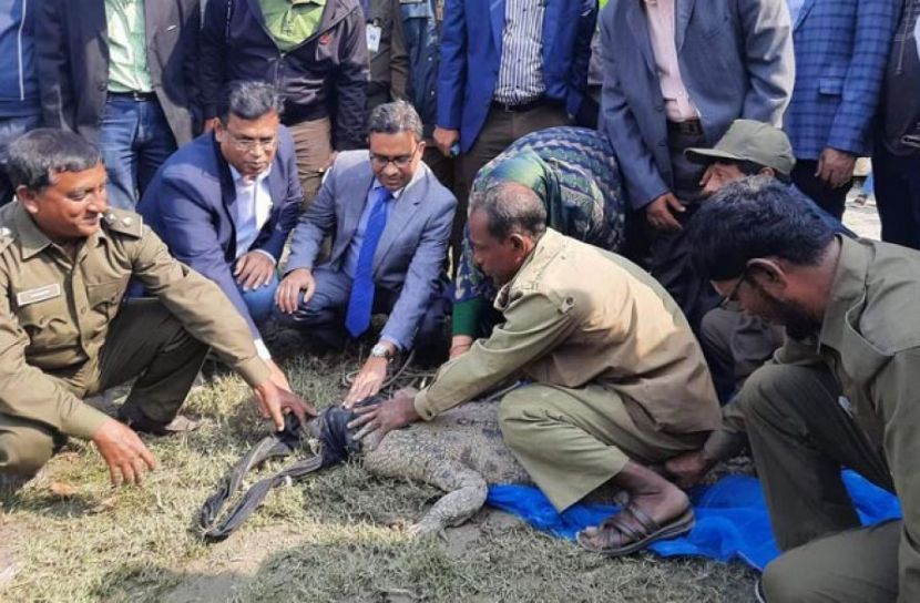 ছবি সংগৃহীত