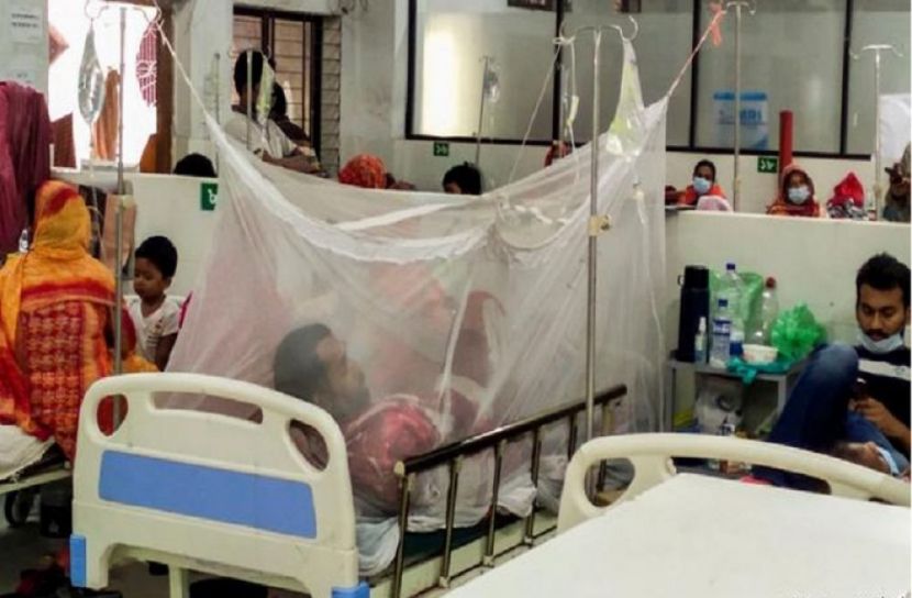 নতুন ডেঙ্গু রোগী শনাক্ত ১৭