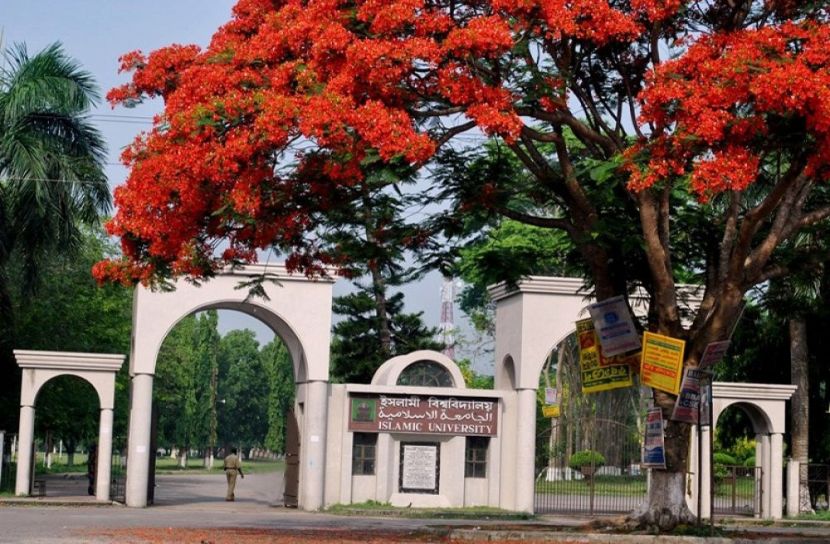 ইসলামী বিশ্ববিদ্যালয় (ইবি)