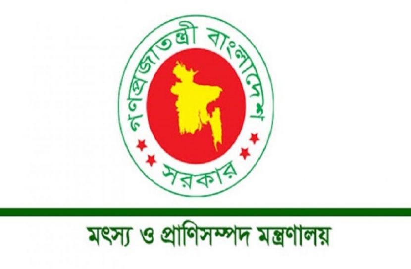 অবৈধ জাল অপসারণে যৌথ অভিযান শুরু